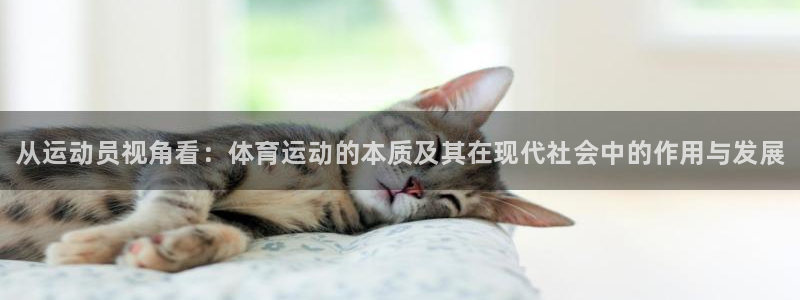 yy易游官方正版app神州：从运动员视角看：体育运动
