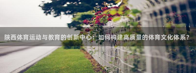 yy易游官方正版app娱乐平台：陕西体育运动与教育的创新中心