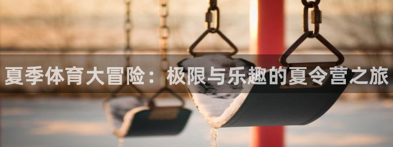 yy易游官方正版app官方：夏季体育大冒险：极限与乐趣的夏令