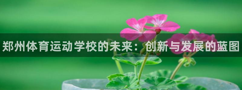 yy易游官方正版app集团官网首页网址：郑州体育运动学校的未