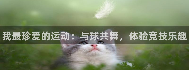 yy易游官方正版app娱乐首页官网下载：我最珍爱的运动：与球