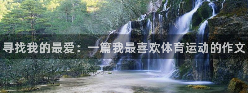 yy易游官方正版app娱乐40996：寻找我的最爱：一篇我最