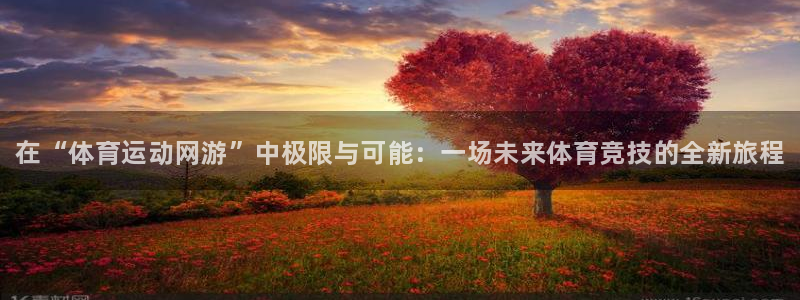 yy易游官网下载招商电话地址：在“体育运动网游”中极