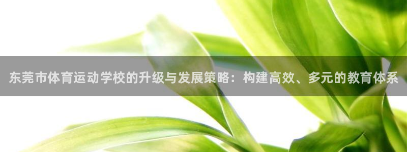 yy易游官方正版app开户：东莞市体育运动学校的升级