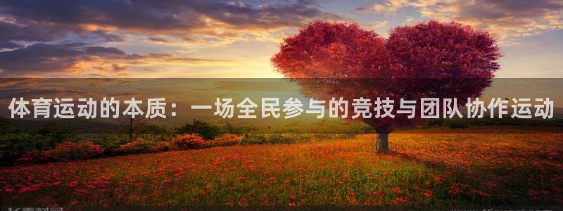 yy易游官网下载招商电话：体育运动的本质：一场全民参与的竞技