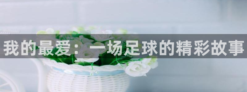 yy易游官网下载平台假的吗是真的吗吗：我的最爱：一场