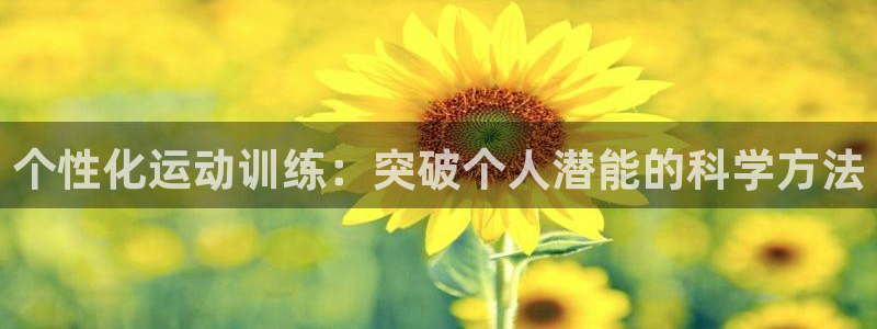 海南yy易游官网下载