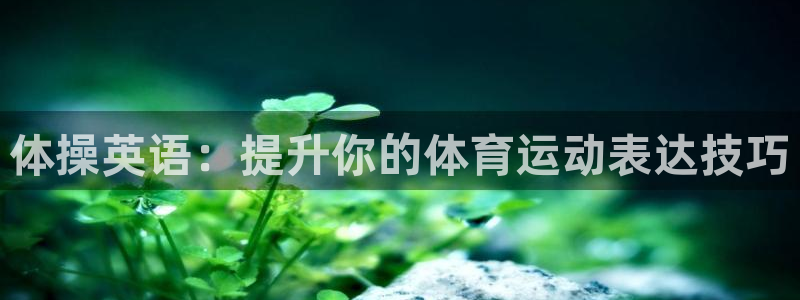 yy易游官网下载招商电话地址