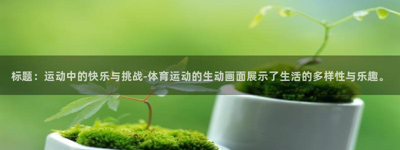 yy易游官方平台体育