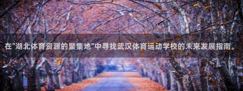 yy易游官网下载招商电话号码是多少：在\