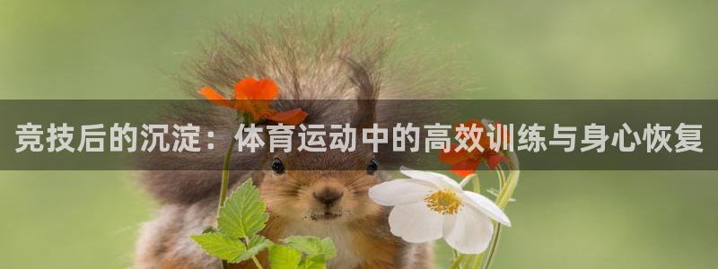 yy易游官方正版app代理：竞技后的沉淀：体育运动中的高效训