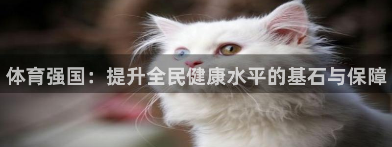 yy易游官网下载招商电话地址