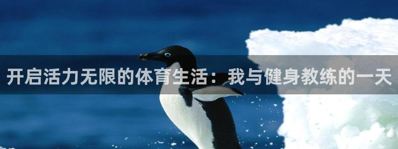 yy易游官网下载招商电话地址查询
