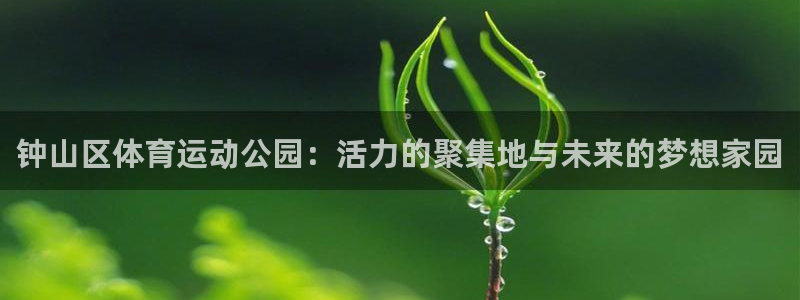 yy易游官网下载招商电话地址是多少：钟山区体育运动公园：活力