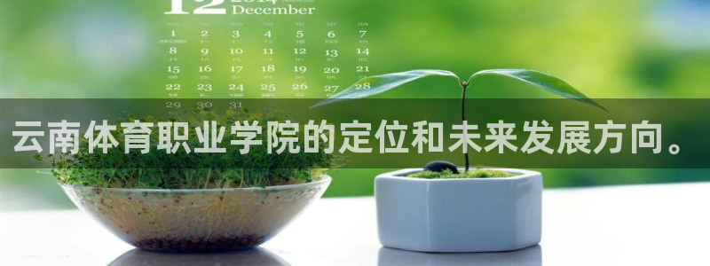 yy易游官网下载招商电话号码查询