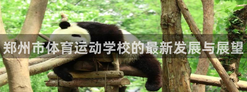yy易游官网下载平台：郑州市体育运动学校的最新发展与展望