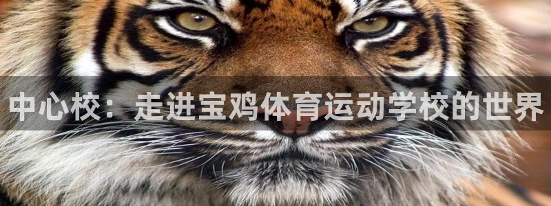 yy易游官方正版app娱乐首页官网下载：中心校：走进宝鸡体育