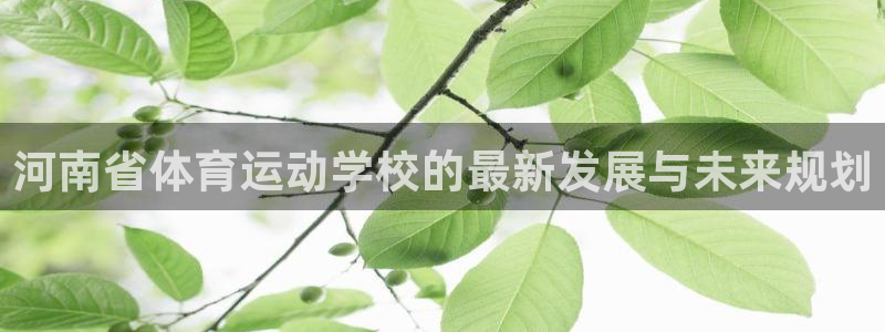 yy易游官方集团官网：河南省体育运动学校的最新发展与