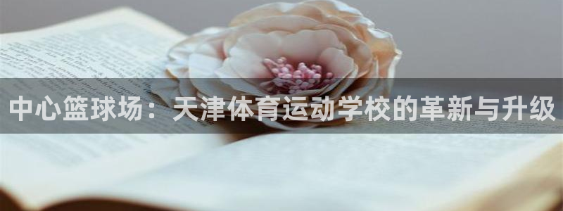 yy易游官网下载开户:中心篮球场:天津体育运动学校的革新与升