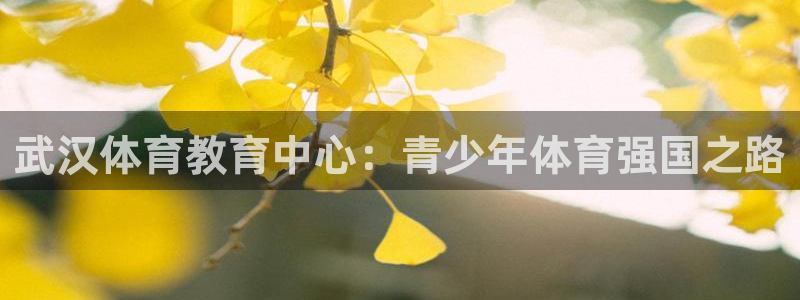 yy易游官网下载平台是正规平台吗安全吗:武汉体育教育中心:青