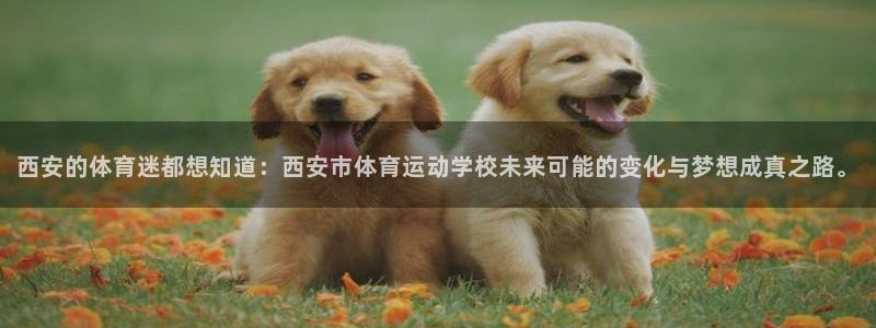 yy易游官网下载平台是正规平台吗安全吗:西安的体育迷都想知道