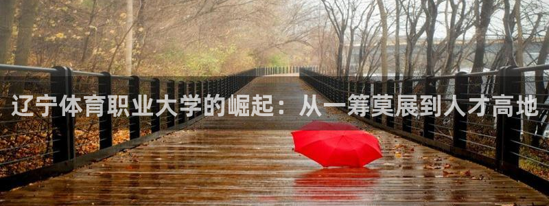 yy易游官方正版app集团简介